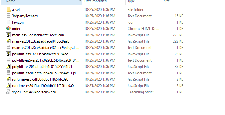 Angular dist folder