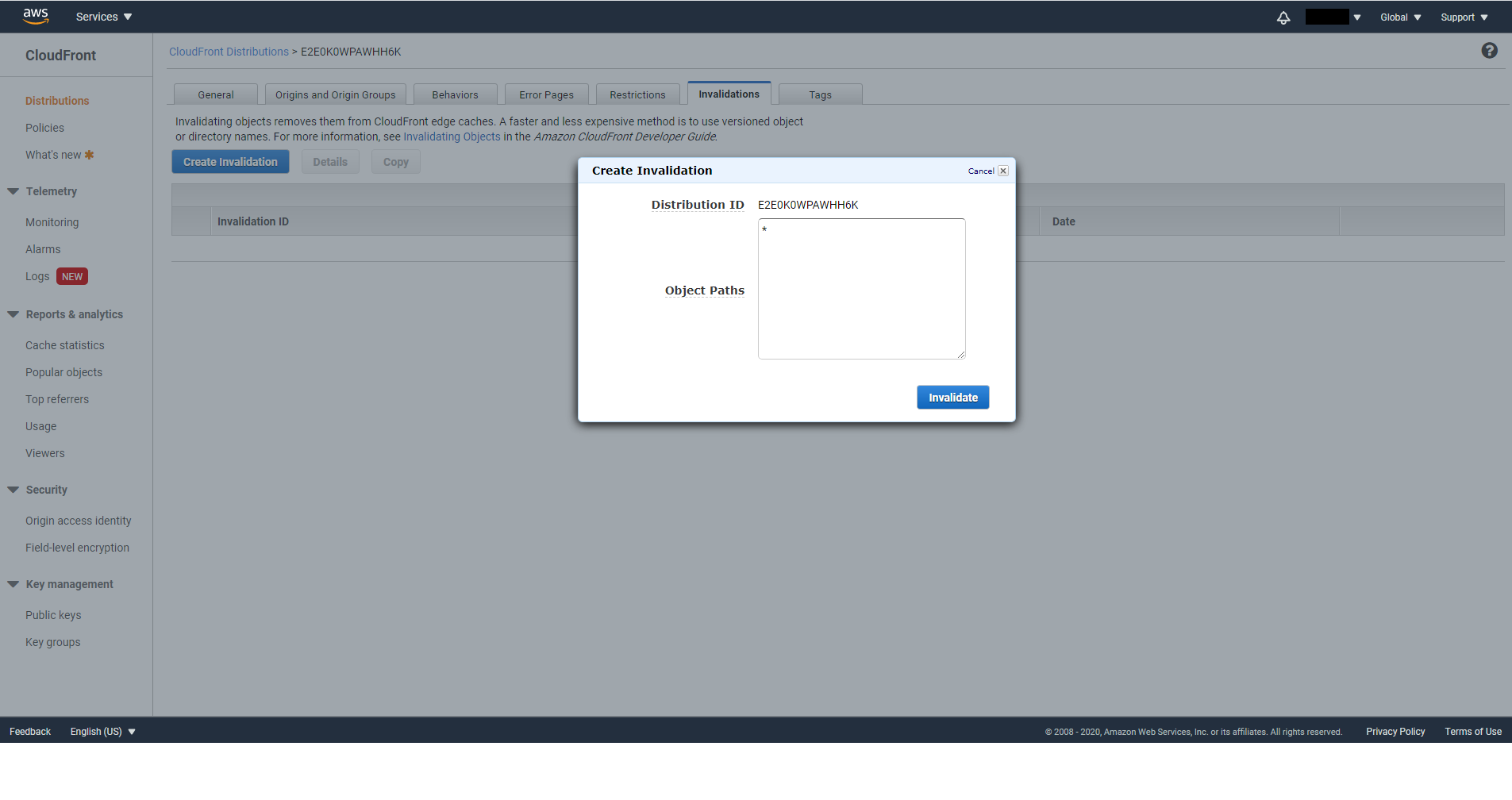 Enter CloudFront invalidation path